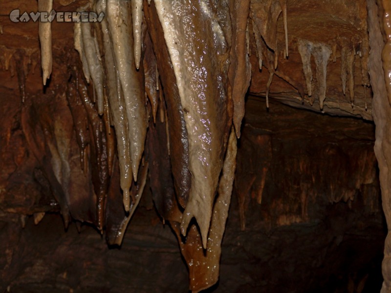 Longmen Water Cave: Der Fisch. Tatsächlich als solcher zu erkennen.