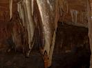 Longmen Water Cave - Der Fisch. Tatsächlich als solcher zu erkennen.