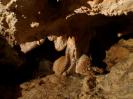 Mammuthöhle - A Zipferl.
