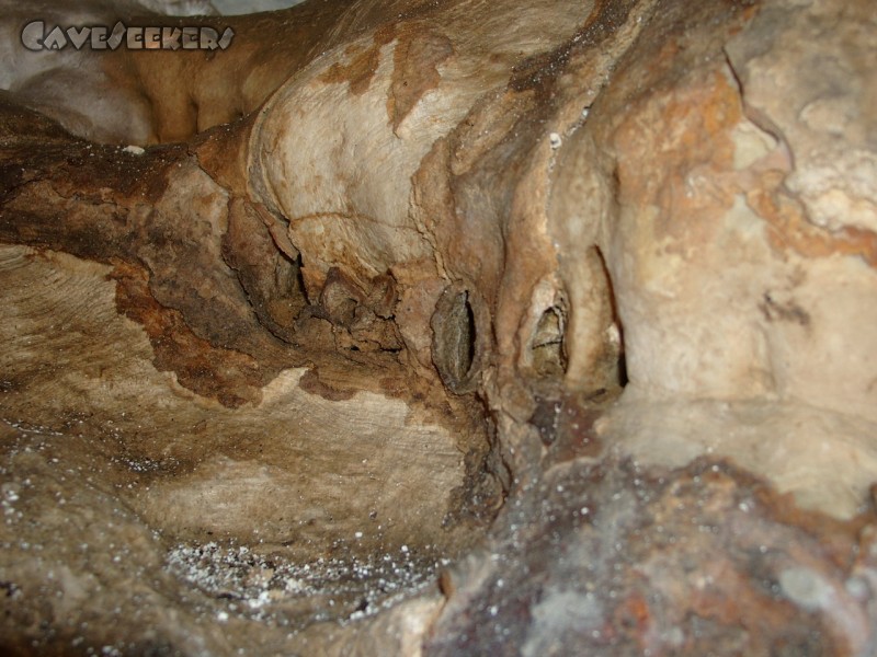 Meanderhöhle F.: Der Profi erkennt sofort, welches Körperteil der Höhle in diesem Falle als Pate stand. Für Anfänger existiert auch ein anderes Bild, welches es allerdings - unserem Ausbildungsauftrag entsprechend - nicht schaffte, ins Netz zu gelangen.