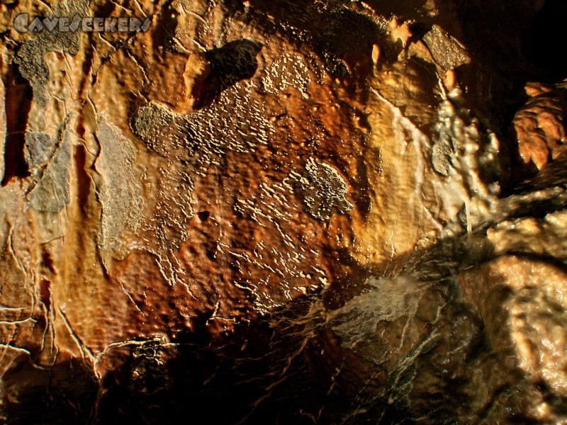 Meanderhöhle V.: Bild zeigt eine Wand. Zu erkennen am kleinen transparenten Maccaroni rechts im Bild.
