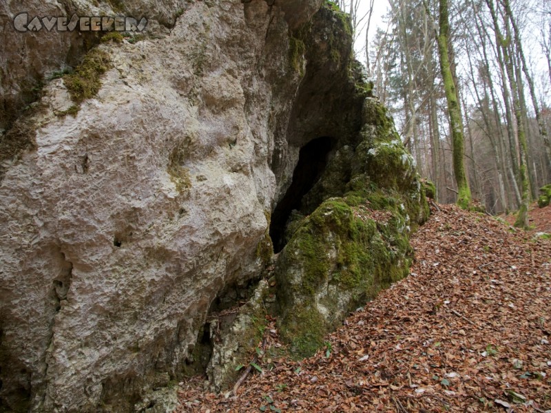 Medvedja Jama: Höhleneingang. Direkt dahinter findet sich ein Raum mit kleinem Schacht.