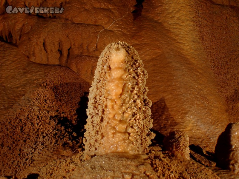 Orgasticibic: Hier kann selbst der CaveSeeker nicht anders, als ganz klar einen aufgerichteten Igel zu erkennen. Traurig aber wahr.