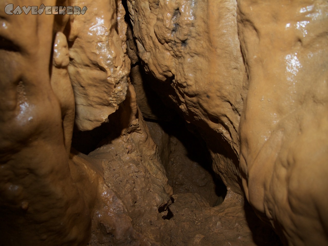 Pourpevelle: Hier verbringt der CaveSeeker viele Minuten beim Versuch sich durch dieses Loch zu drücken. Was aber natürlich nicht klappen kann.