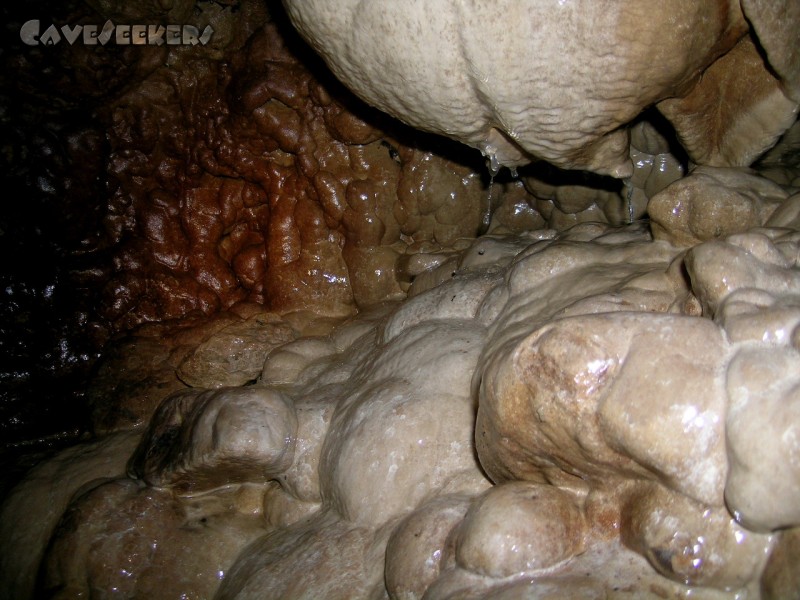 Pumperhöhle: Auch hier: Weißer Sinter unter ärgster Bedrängnis.