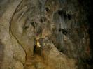 Rennerfelshöhle - Höhleneingang. In der Mitte einer großen Felswand. Mit fest installiertem Zum-Geo-Cache-Trampel-Pfad.