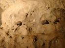 Rostnagelhöhle - Spektakulärer Fund in Rostnagelhöhle: Kotversteinerungen an der Höhlendecke. Ein Hinweis auf unappetitliche Praktiken im Jahre 18000 BC?