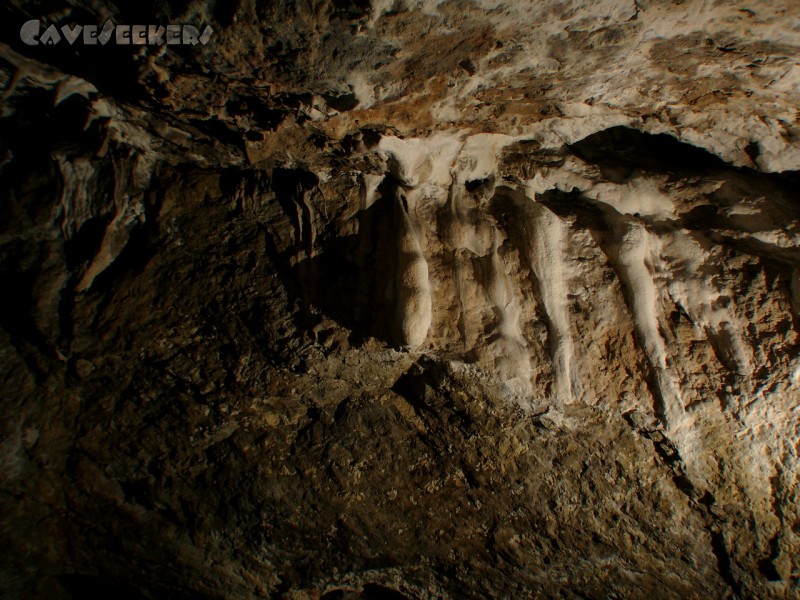 Saugartenhöhle: Fantastische Auswüchse.