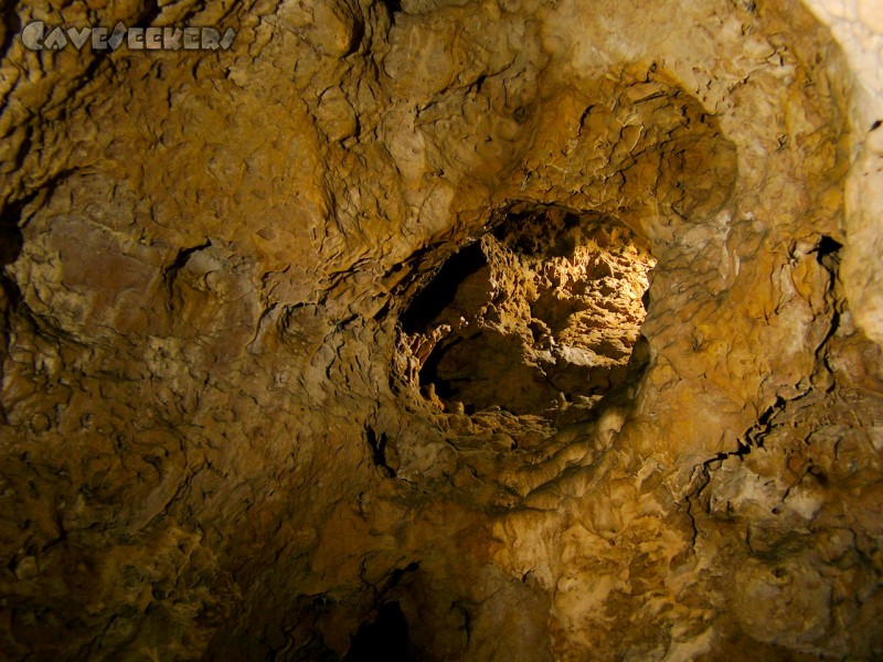 Saugendorfer Höhle: Röhre in luftiger Höhe.
