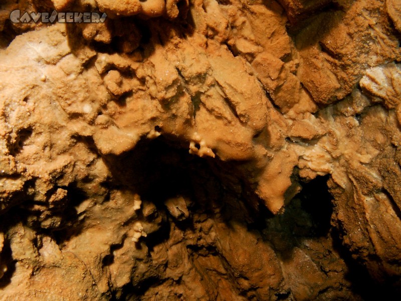 Saugendorfer Höhle: Ein einsamer Krüppel.