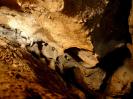 Schleifsteinhöhle - Für Traditionalisten: Selbstverständlich können auch normale Sinterfahnen in ihrem natürlichen Lebensraum beobachtet werden.
