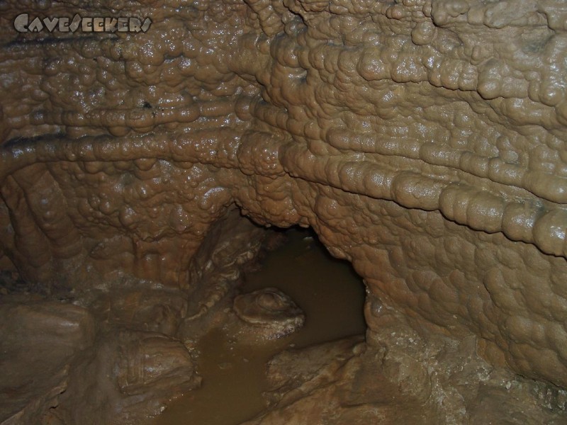 Schönsteinhöhle: Durch dieses feuchte Loch wird er kommen. Der seilfreie Weg zum Höhlenbuch.