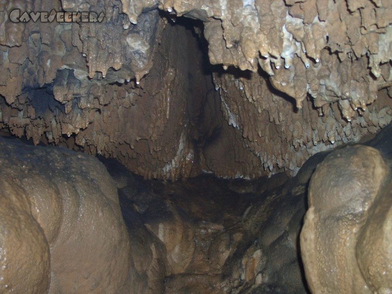Schönsteinhöhle: Abgestürzt: Nach einer dramatischen Rettungsaktion, konnte dieses Bild erstellt werden.