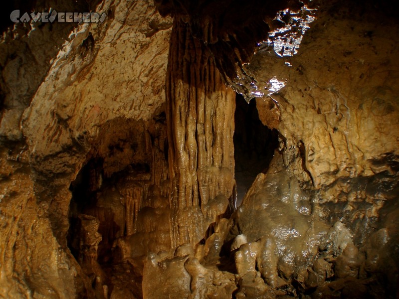 Schönsteinhöhle: Der Größte von hinten. Auch schön.