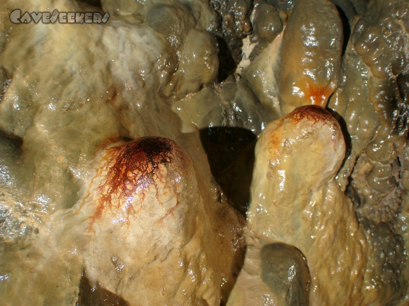 Schönsteinhöhle - Auch für den Freund der farbenfrohen Versinterung ist hier etwas zu finden.