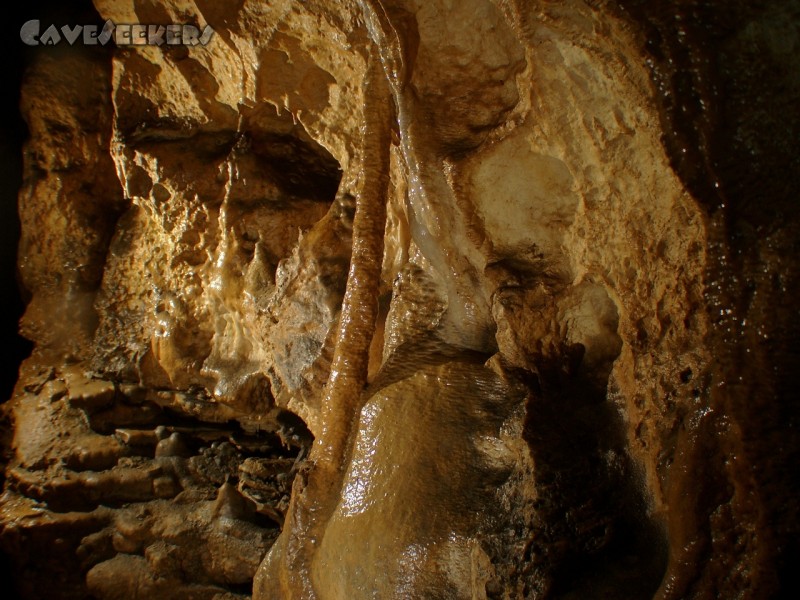 Schönsteinhöhle: Ein schiefer Stalagmat. Schön zu erkennen ist die starke Verwandschaft zur Mäanderhöhle ein paar Meter weiter.