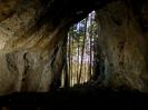 Schweigelshöhle - Blick in den Wald.