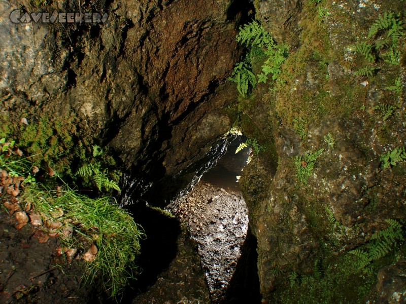 Teufelsbrunnen: In der Bildmitte erkennt das geschulte Auge das Wasser des Teuefelsbrunnens.