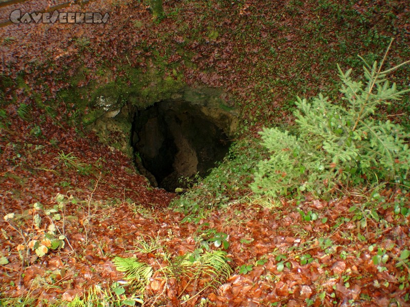 Teufelsloch: Der recht geräumige Eingang der Doline.