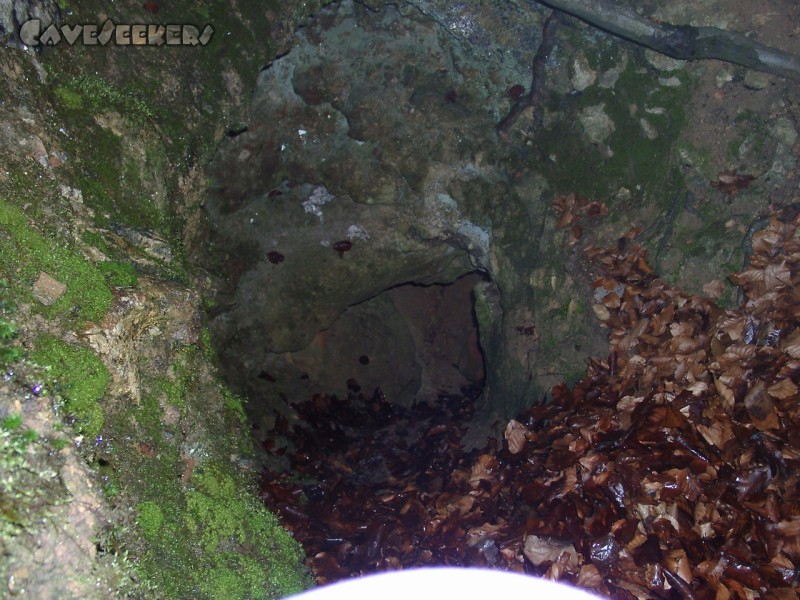 Warm Kalt Höhle: Wie so oft ein sich unmotiviert am Hang befindliches Loch im Boden.