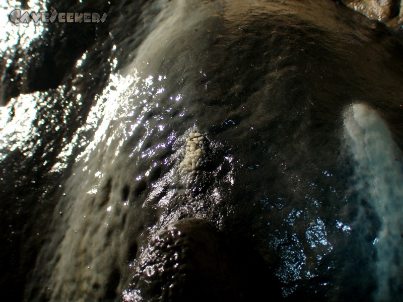 Wassergrotte: Spricht der Höhlenforscher hier von 'Sinterperlen?' Man weiss es nicht.