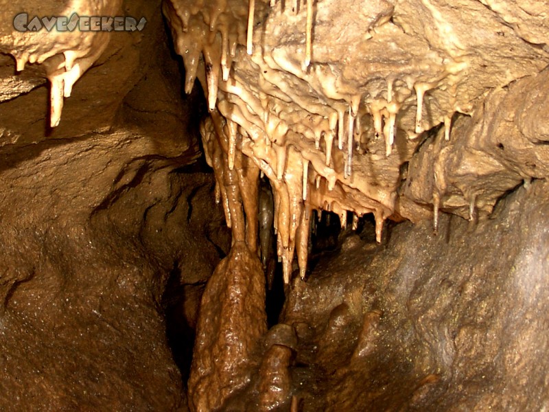 X-Akten Höhle: Oberhalb des Abstiegs findet sich dies.