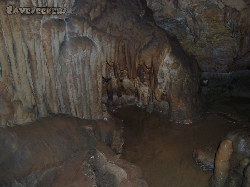 Zoolithenhöhle: Sinterbecken