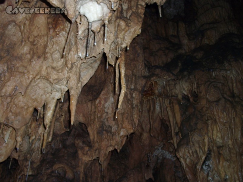 Zoolithenhöhle: Man beachte die aussergewöhnliche Gestaltung des Tropfsteines in der Bildmitte.